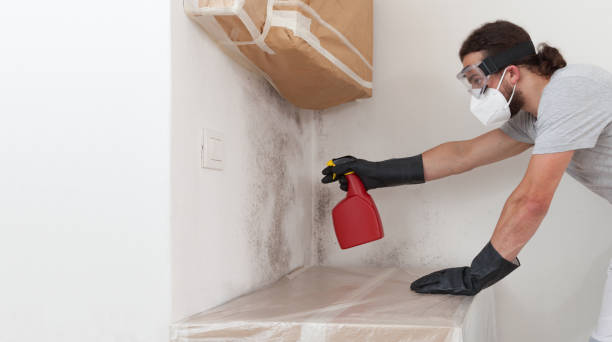 Attic Mold Remediation treatment on roof deck in Walnut Bottom