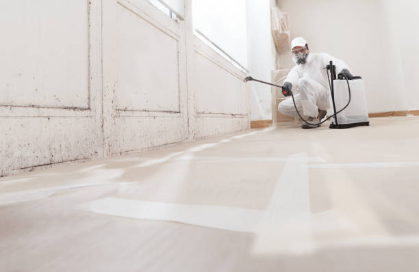 Post-remediation clearance in Walnut Bottom